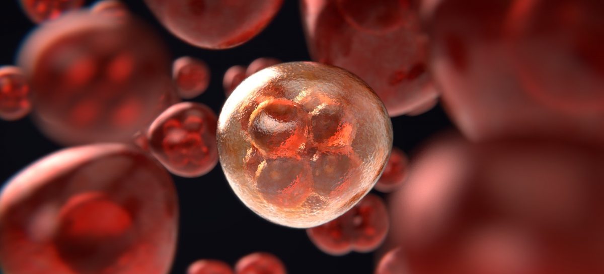 Cercetătorii au dezvoltat un candidat de medicament care împiedică formarea celulelor canceroase