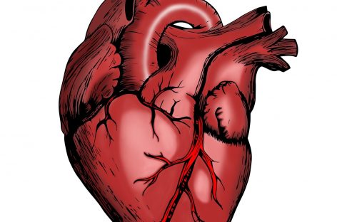 Variola maimuţei poate provoca probleme cardiace, conform noilor cercetări