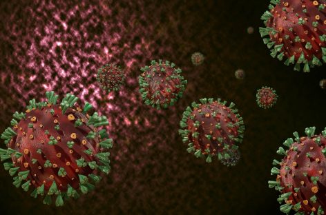 Virus recent descoperit, asemănător cu SARS-CoV-2, este capabil să infecteze oamenii şi e rezistent la vaccinuri