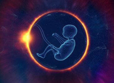 STUDIU: Copiii născuți din embrioni congelați sunt mai predispuși să dezvolte cancer