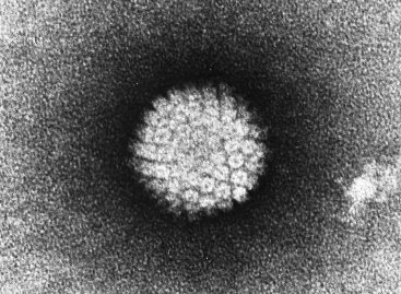 Un nou studiu indică persoanele care se confruntă cu cel mai mare risc de infecție cu HPV