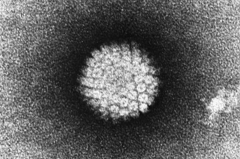 Un nou studiu indică persoanele care se confruntă cu cel mai mare risc de infecţie cu HPV