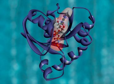 Structura proteinei RAF1, responsabilă de transmiterea semnalelor oncogene KRAS, descifrată de cercetători