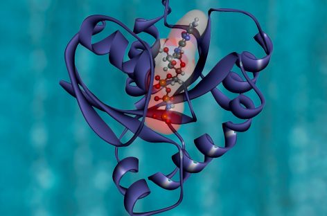 Structura proteinei RAF1, responsabilă de transmiterea semnalelor oncogene KRAS, descifrată de cercetători