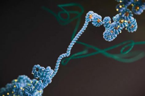 Epigenetica ar putea schimba tratamentul cancerului