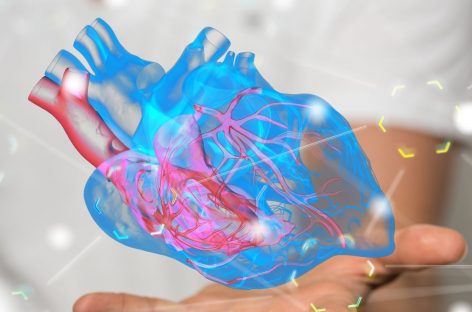 O nouă țintă în lupta împotriva bolilor de inimă, descoperită de cercetători