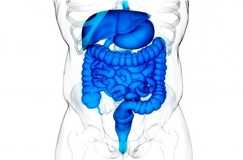 Metaboliţi sintetici ar putea trata bolile inflamatorii intestinale