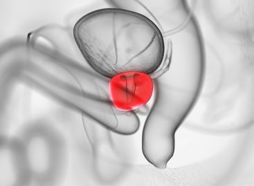 Dezvoltarea unei terapii pentru cancerul de prostată rezistent la tratament: un studiu clinic restrâns indică o supraviețuire fără progresie de 40%