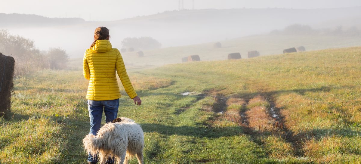 woman with dog walking in early morning foggy landscape Experți oncologi: 30 de secunde de relaxare în lumina soarelui, dimineața devreme, „cea mai eficientă cale” de a preveni cancerul