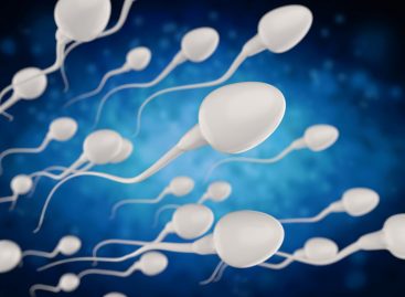 STUDIU: Concentraţia de spermatozoizi a scăzut semnificativ în ultimele decenii în întreaga lume, iar declinul se accelerează