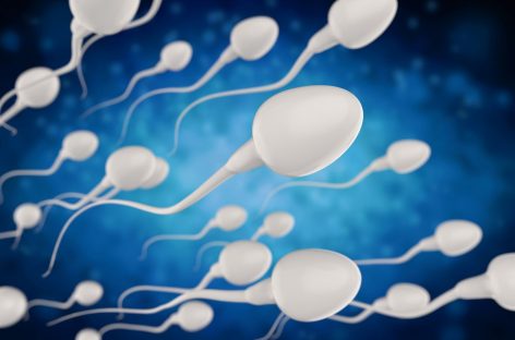 Pesticidele din alimente, utilizate frecvent la nivel mondial, pot contribui la scăderea numărului de spermatozoizi, având un impact asupra fertilităţii masculine, potrivit unui studiu