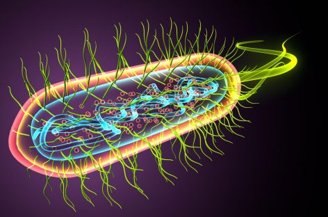 STUDIU: Infecţiile bacteriene, a doua cauză de deces la nivel mondial