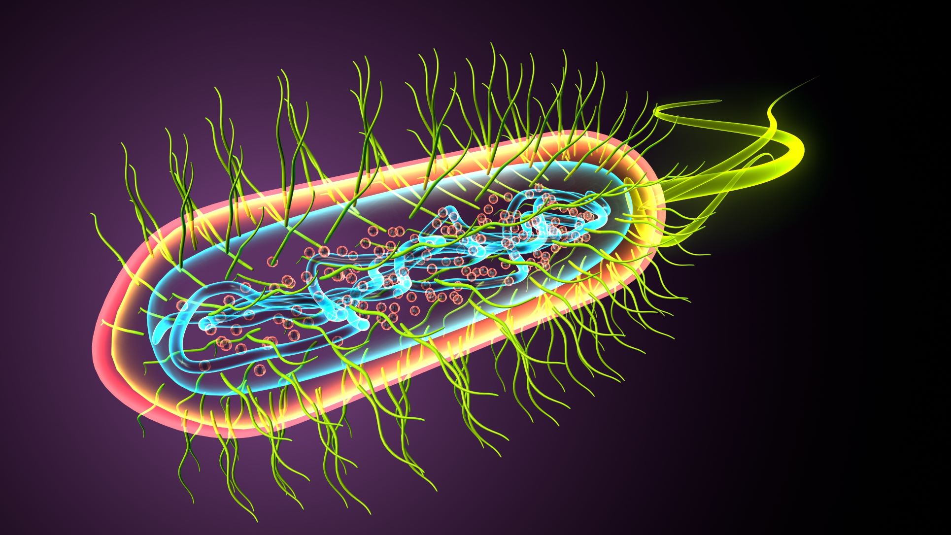 Primul candidat de medicament care vizează microbiomul prin tehnologia CRISPR, creat de cercetători