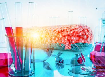 Nou test de sânge pentru identificarea infecțiilor ar putea reduce utilizarea excesivă a antibioticelor la nivel global