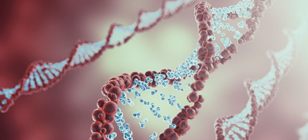 ADN artificial, creat pentru a ucide cancerul
