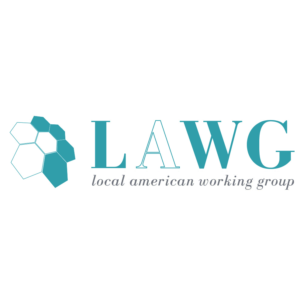 Prioritățile Local American Working Group – LAWG: accesul la inovație și contribuția activă la modernizarea sistemului de sănătate din România