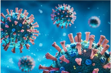 Au fost descoperiți anticorpi umani care pot bloca mai multe coronavirusuri