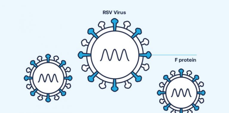 Un nou candidat de vaccin împotriva virusului sinciţial respirator se dovedeşte eficient în prevenirea simptomelor la adulţii în vârstă