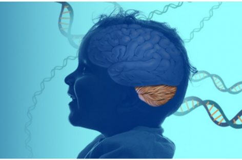 O boală neurologică rară în care este implicat procesul de reciclare celulară, descoperită de cercetătorii NIH