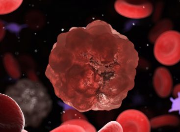 O nouă terapie valorifică celulele pacienților în lupta împotriva cancerului
