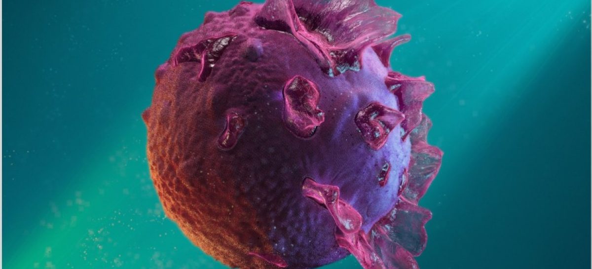 Oamenii de știință au identificat o proteină care ajută virușii ce pot cauza cancer să se sustragă răspunsului imunitar