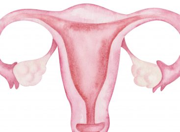 Tehnologie pentru creșterea primelor ovare în totalitate umane, în laborator