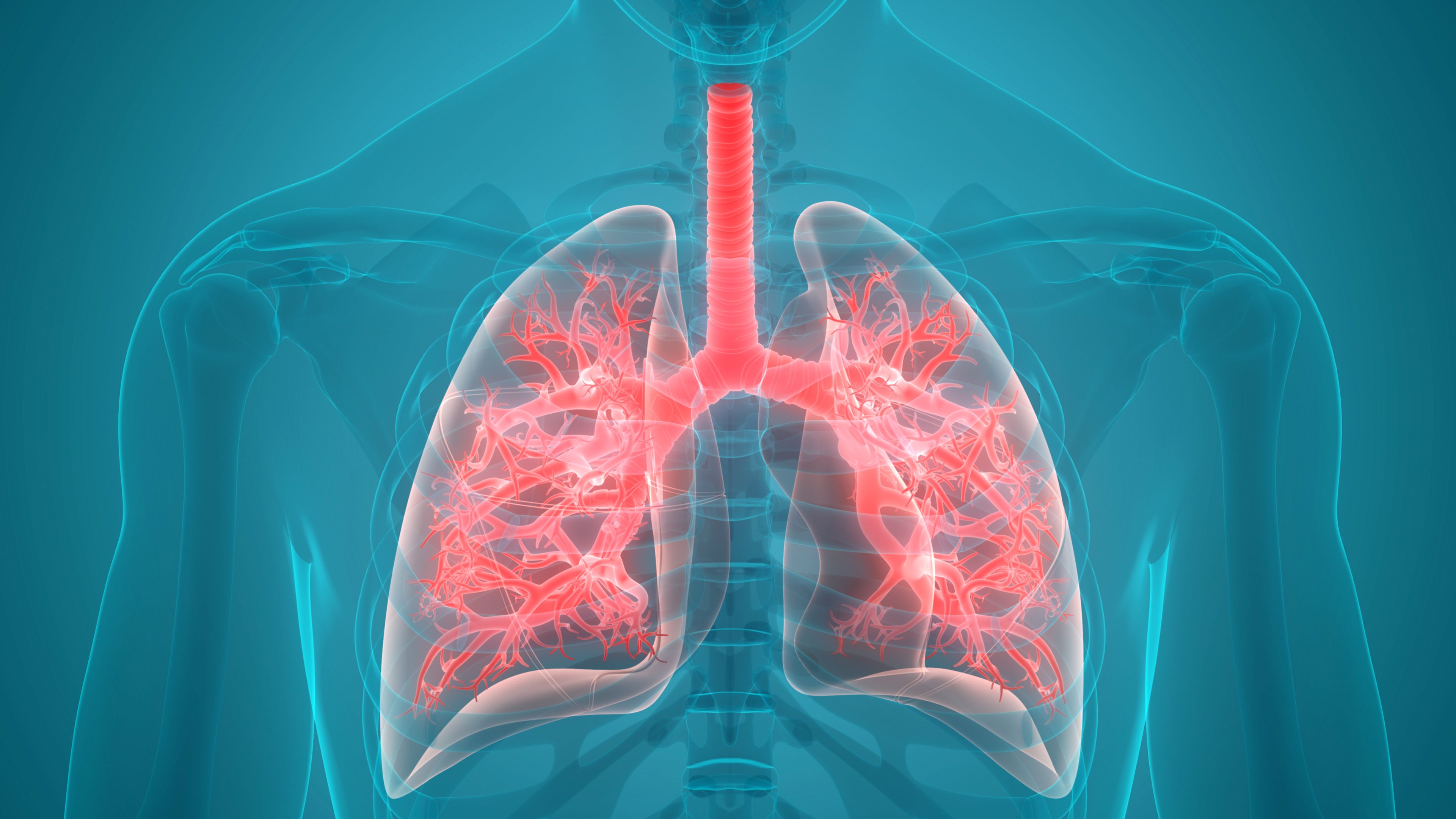 Transplantul cu propriile celule pulmonare, soluția pentru o boală respiratorie gravă!