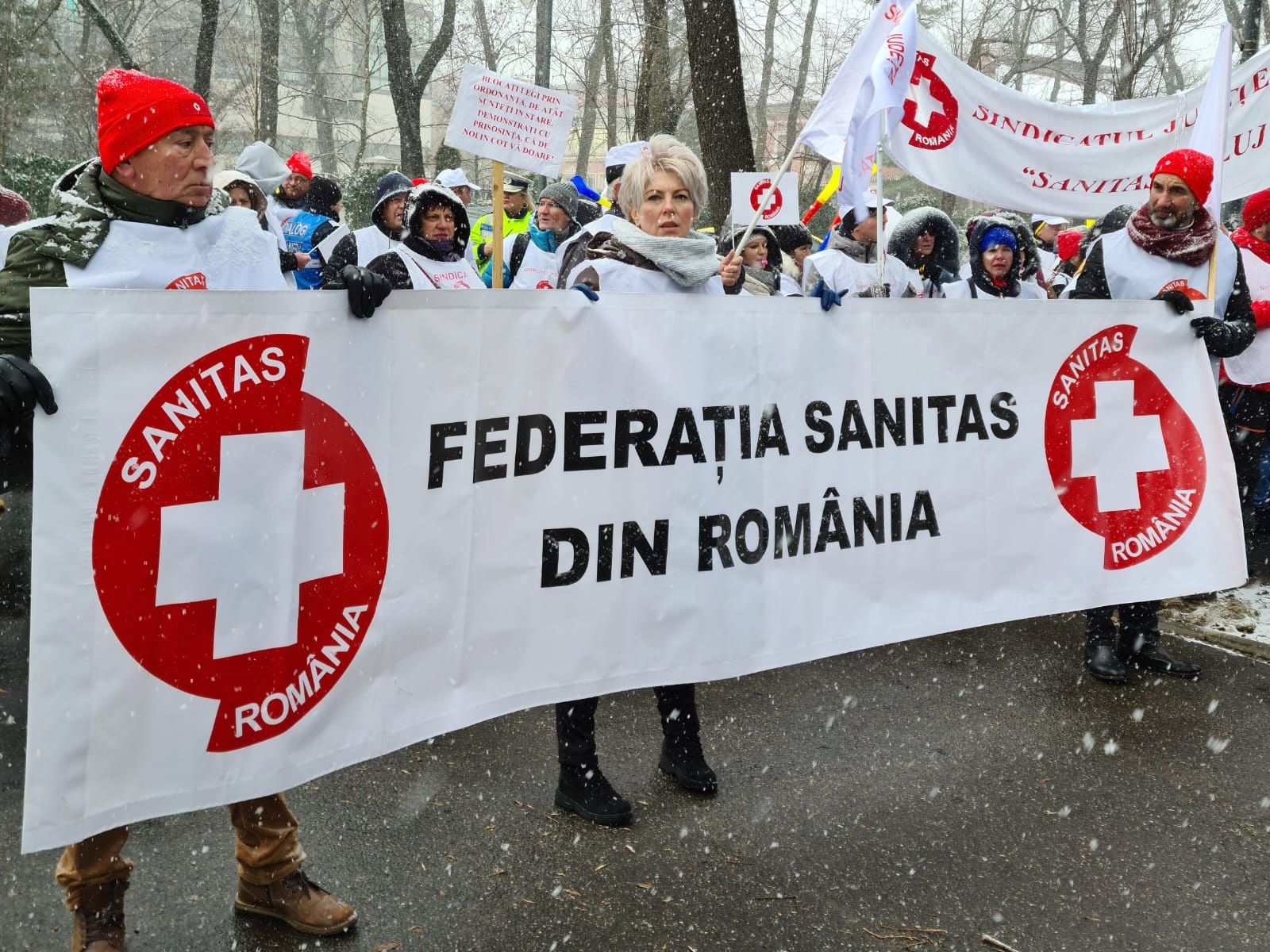 Membrii Federaţiei Sanitas au încheiat protestul organizat în Bucureşti