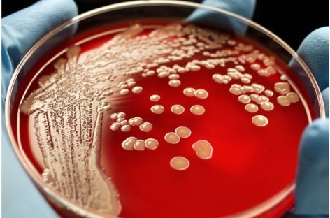 Combinaţie de tratament pentru infecţiile cu bacterii rezistente