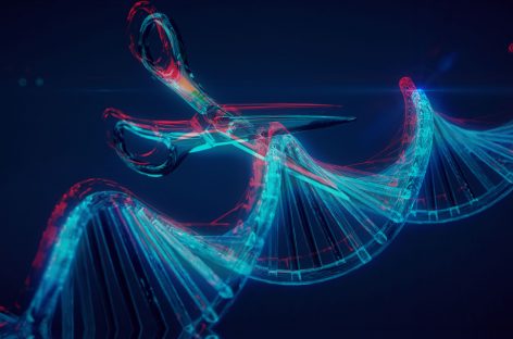 O nouă tehnică de editare genetică pentru restabilirea vederii