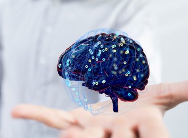 Cum se generează noi neuroni în creier