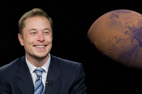 Visul lui Elon Musk de a revoluţiona medicina, blocat de autorităţi