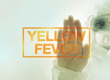 Anticorpi produși în laborator ar putea vindeca persoanele infectate cu febra galbenă