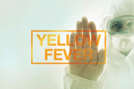 Anticorpi produși în laborator ar putea vindeca persoanele infectate cu febra galbenă
