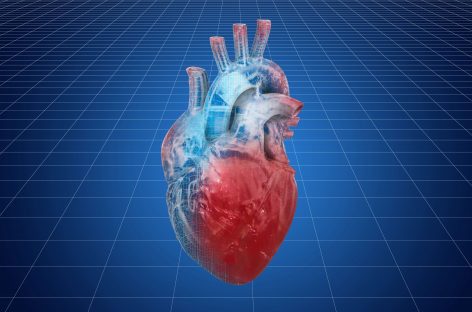 Nouă tehnologie pentru repararea inimii după un infarct