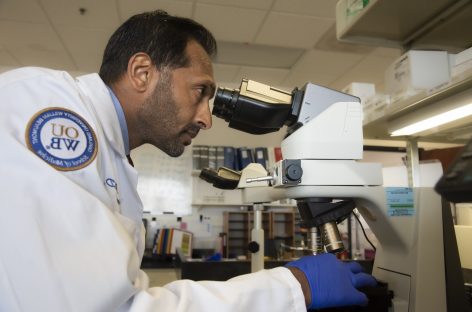 O nouă cercetare ar putea duce la tratamente mai bune pentru cancerul cerebral agresiv