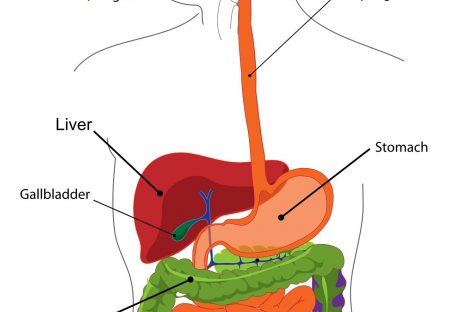 19 mai - Ziua Mondială a Bolilor Inflamatorii Intestinale