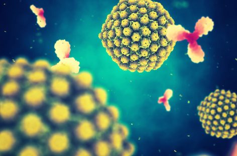 Modul în care sistemul imunitar luptă pentru a ține la distanță virusul herpetic