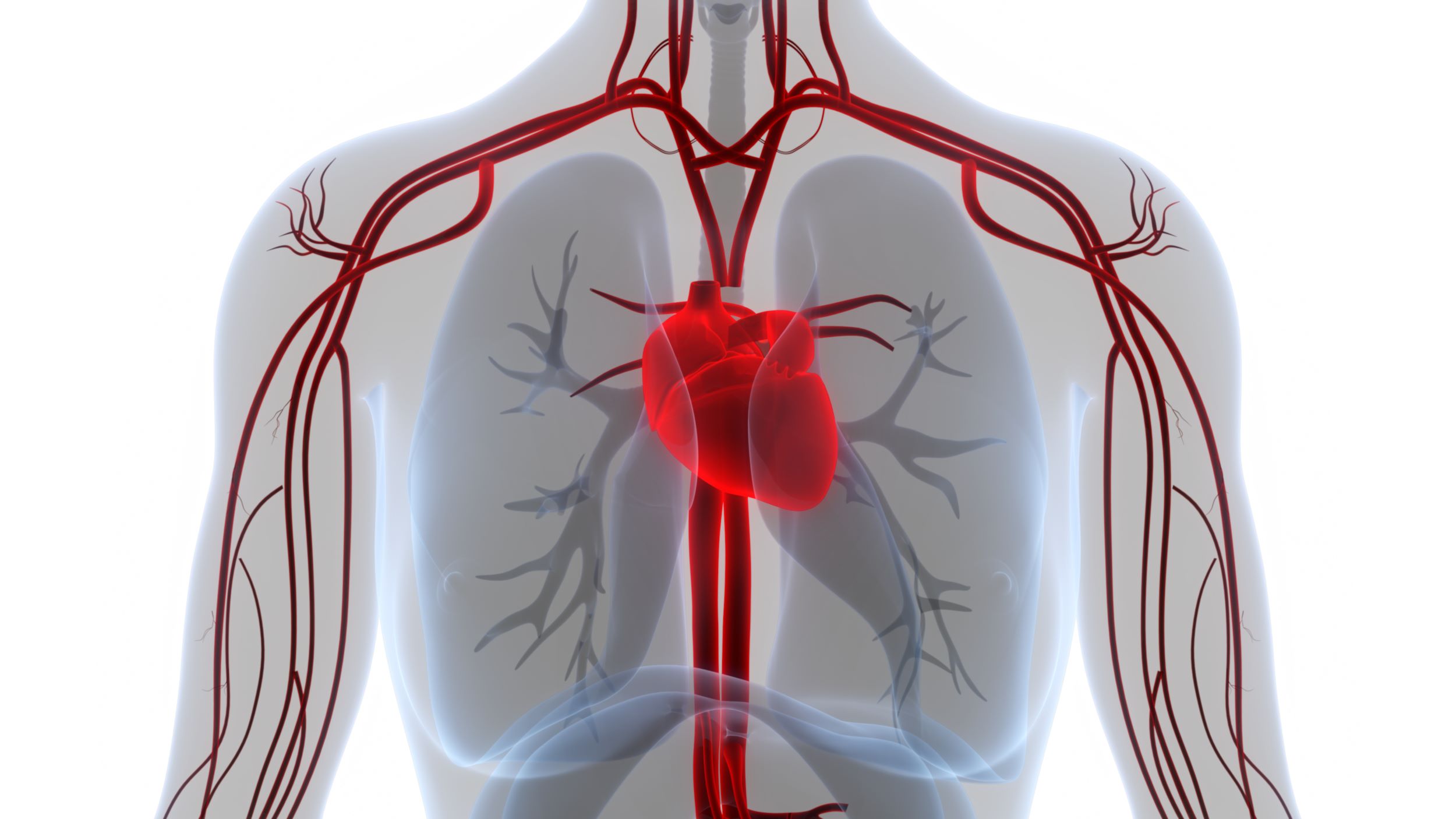 Femeile ar putea necesita un tratament mai puternic pentru a preveni infarctul decât bărbaţii