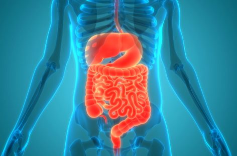 Ziua Internaţională a luptei împotriva bolilor inflamatorii intestinale: ateliere de povestit şi nutriţie dedicate pacienţilor cu BII de toate vârstele