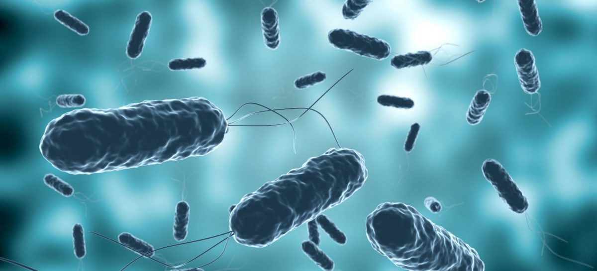 Descoperiri cheie asupra originilor evolutive ale rezistenței la antibiotice