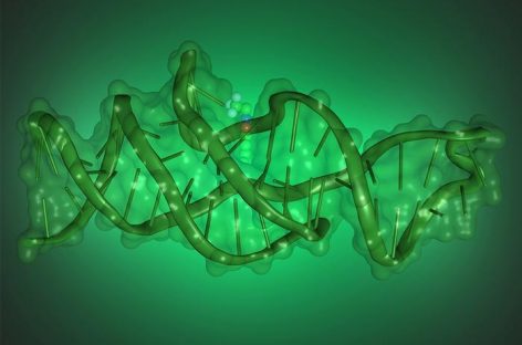 Noi descoperiri în cercetarea genetică: ADN-ul se poate plia în forme complexe pentru a executa noi funcții