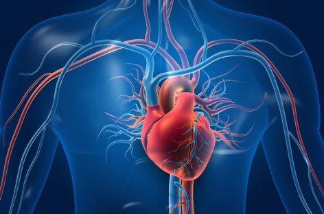 Primul studiu la om cu o terapie experimentală furnizează rezultate promițătoare pentru bolile de inimă