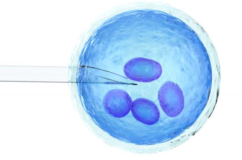 Misterul fertilităţii: Succesul fertilizării in vitro depinde de anotimp?