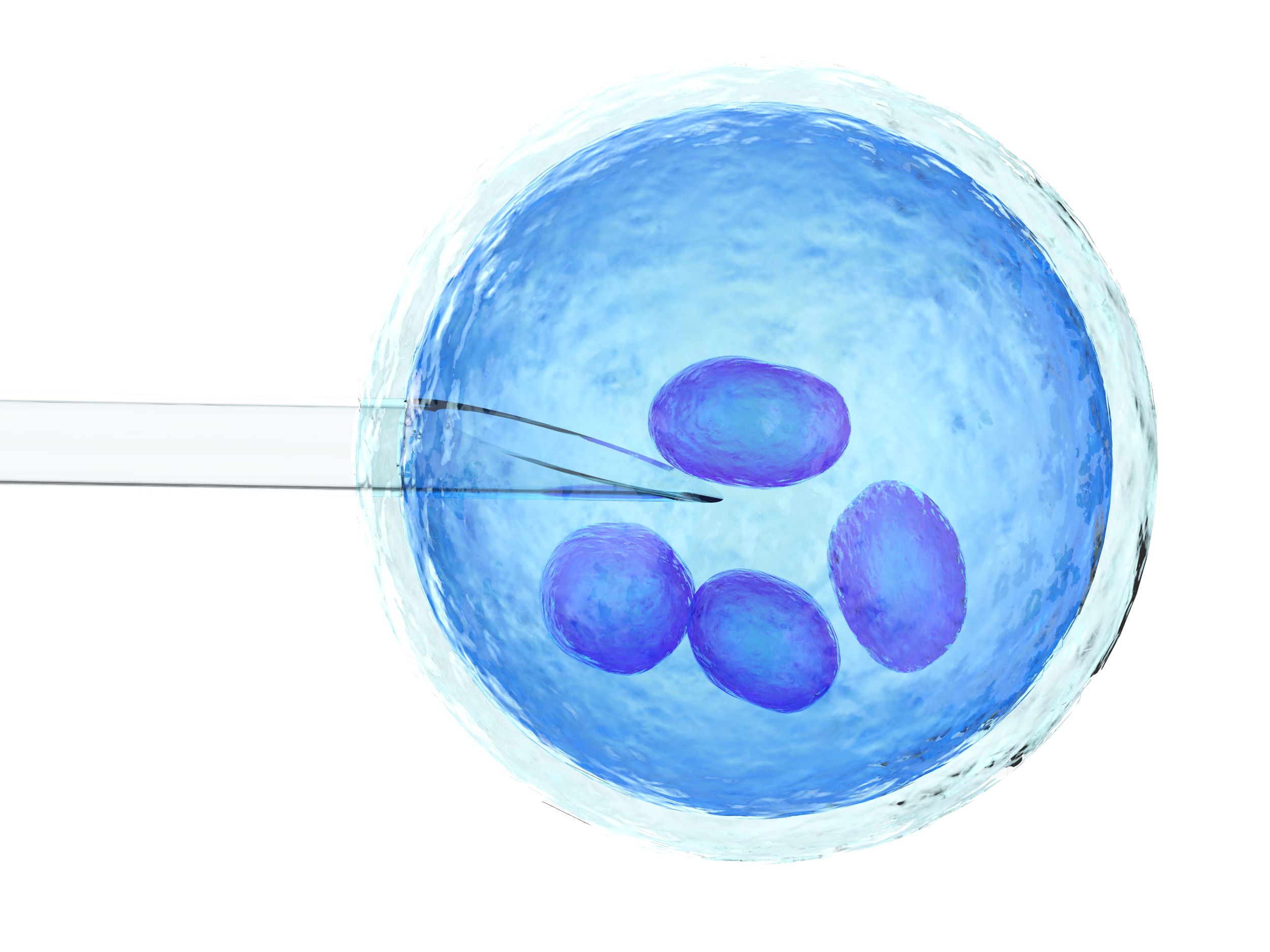 AI ar putea fi utilizată pentru a îmbunătăţi succesul fertilizării in vitro