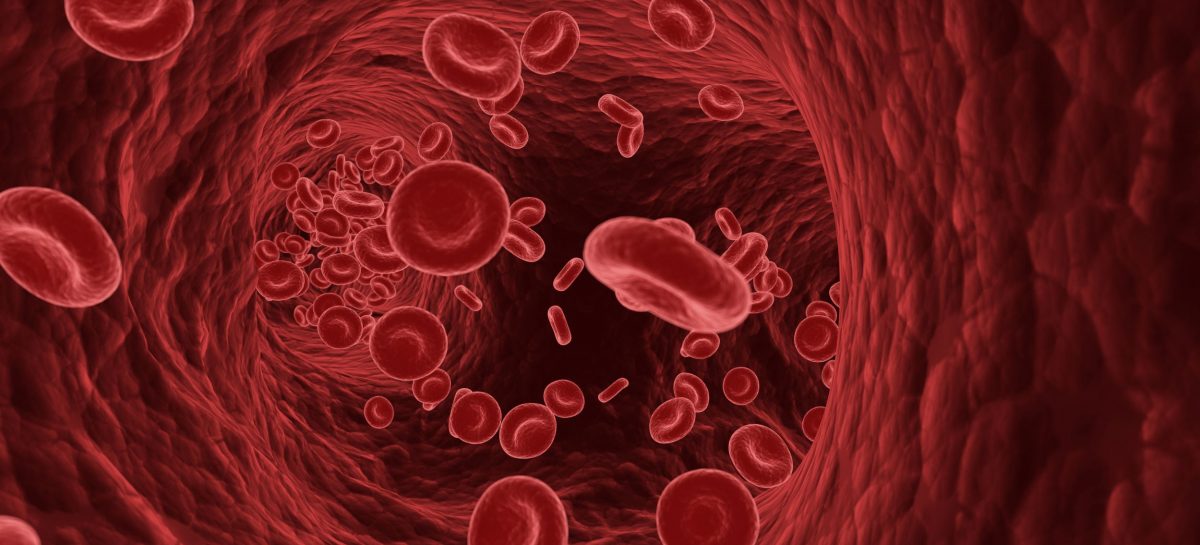 Globulele roșii expuse la deficit de oxigen pot proteja împotriva infarctului miocardic. Dieta alimentară care ajută