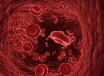 Globulele roșii expuse la deficit de oxigen pot proteja împotriva infarctului miocardic. Dieta alimentară care ajută