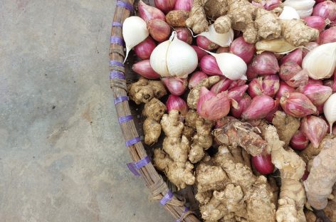 Proprietățile anticancer ale unei plante din Asia, confirmate de o echipă de cercetători japonezi