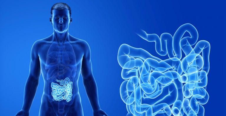 Legătura dintre Parkinson şi bacteriile intestinale sugerează un tratament neaşteptat