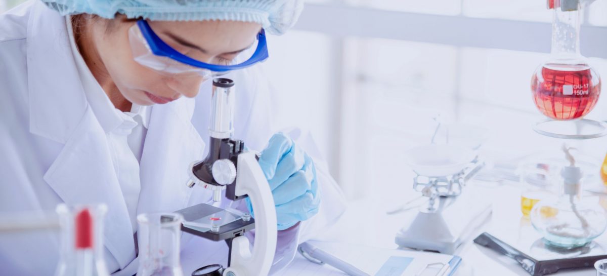 Liliecii ar putea deține secretul evolutiv pentru învingerea cancerului